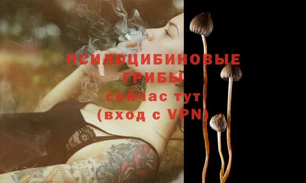 винт Тихвин