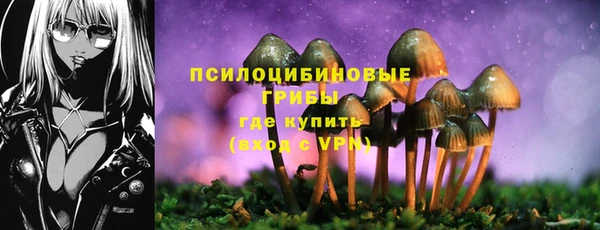винт Тихвин