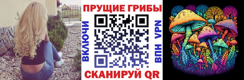Псилоцибиновые грибы ЛСД  Купить где  Велиж 